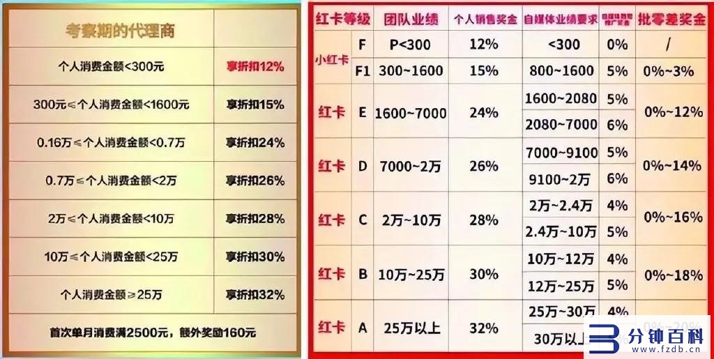 张庭是如何忽悠二胎宝妈，建立300亿传销帝国的？