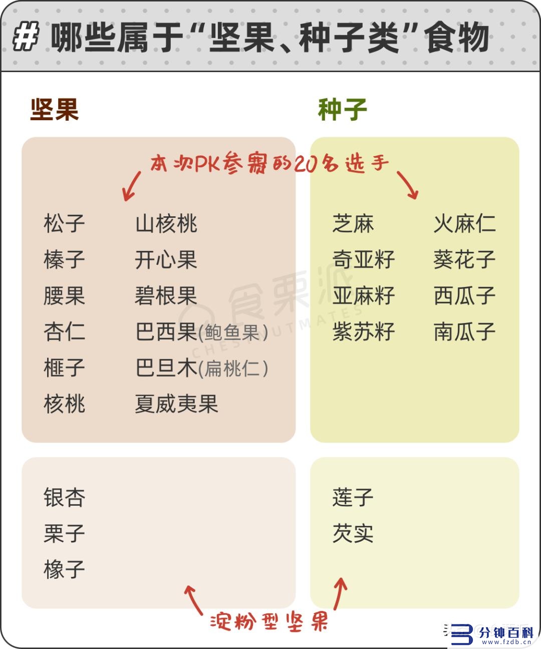 十大坚果营养的排名（十大坚果营养的排名陕西省会）插图1