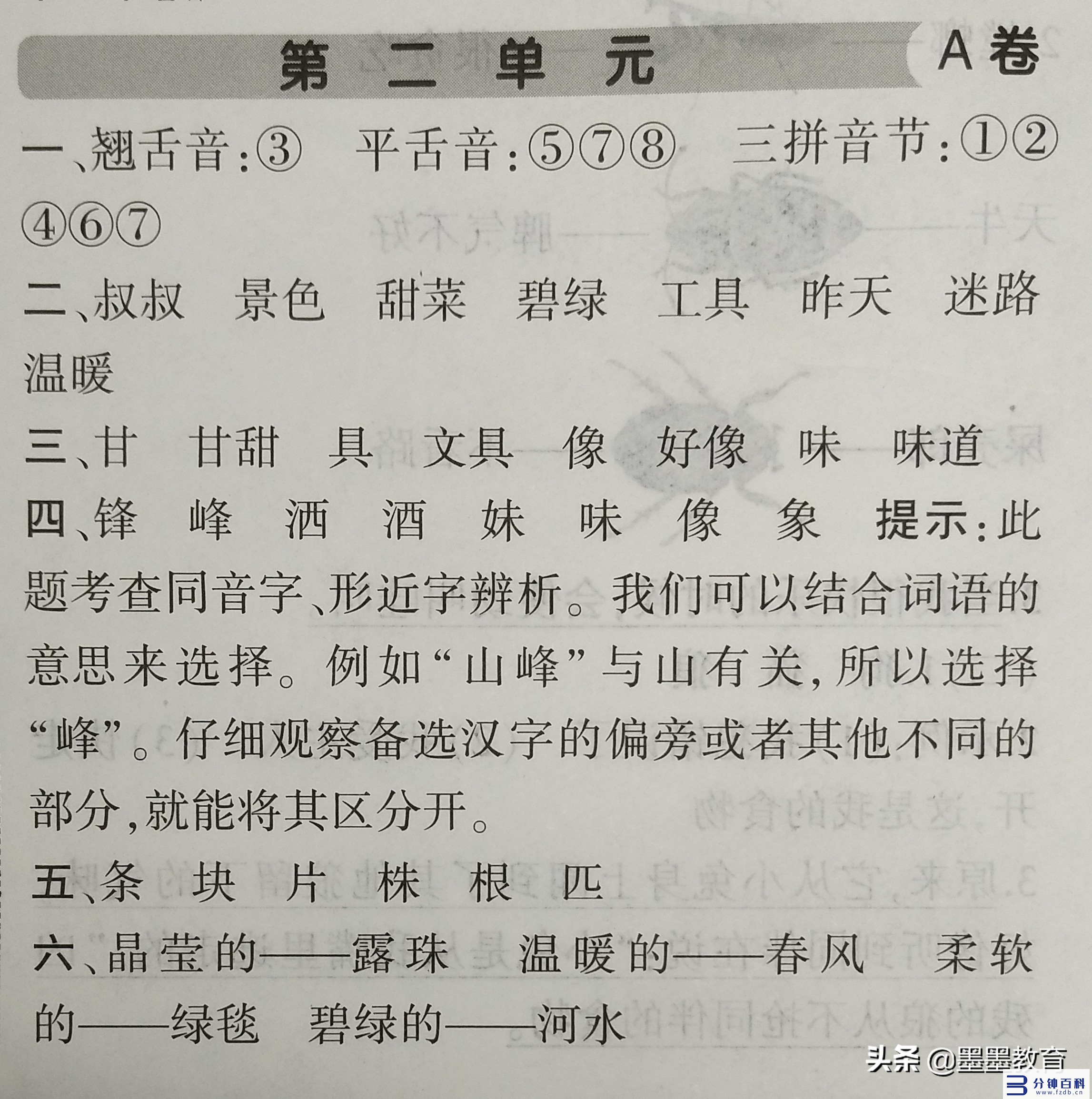 象加偏旁组词（象加偏旁组词变成新字再组词）插图4